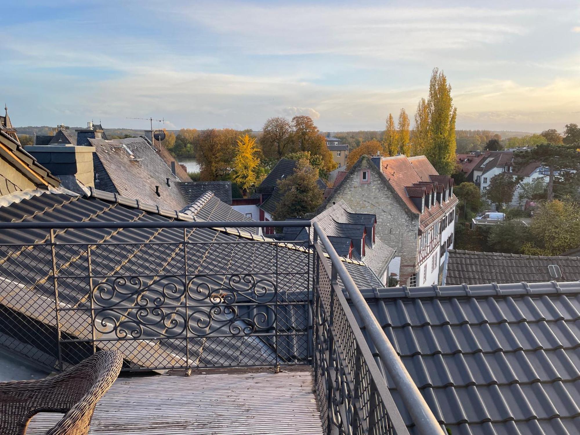 Alta Villa - Ferienwohnung Eltville am Rhein Luaran gambar